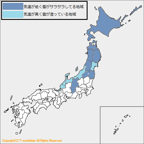 雪の日でも傘をささない 北国ならではの事情を探ってみた 人生いろいろ知識もいろいろ